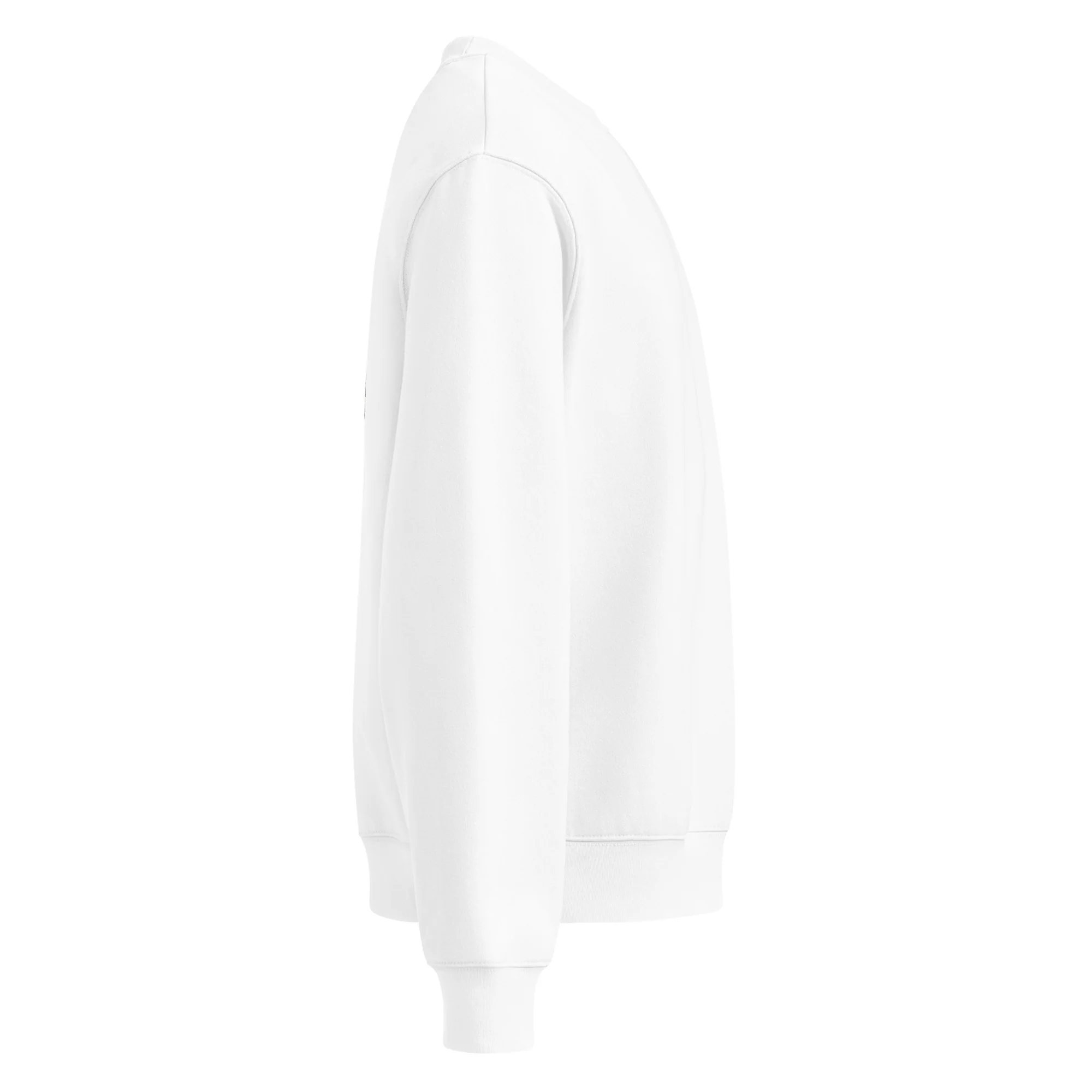 BOTANICAL AF - Oversized Heavyweight Sweatshirt - Image 16